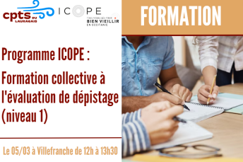 Formation Collective à l'évaluation de dépistage ICOPE